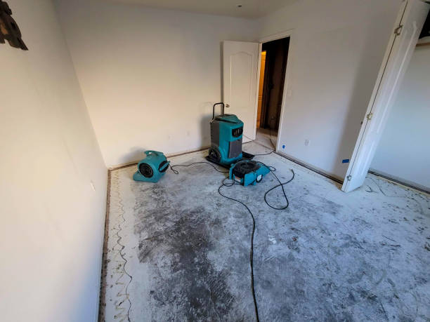 Best Basement water damage restoration  in Carmel, IN