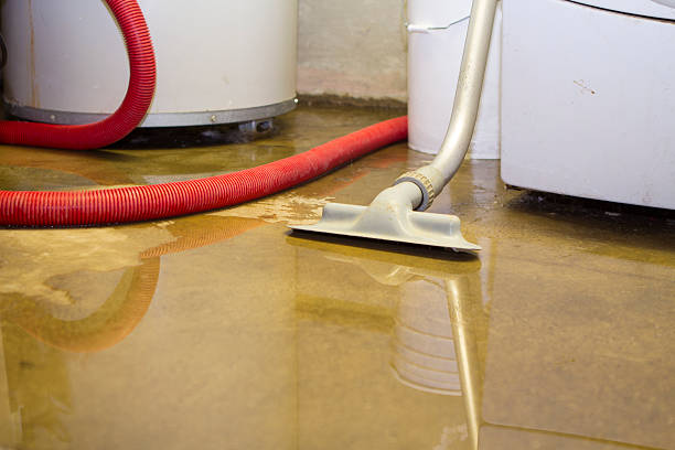 Best Flood damage cleanup  in Carmel, IN