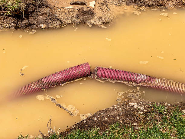 Best Local water damage restoration  in Carmel, IN
