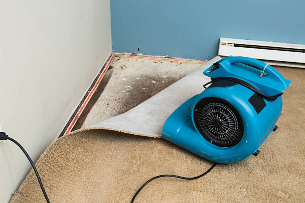 Best Flood restoration services  in Carmel, IN